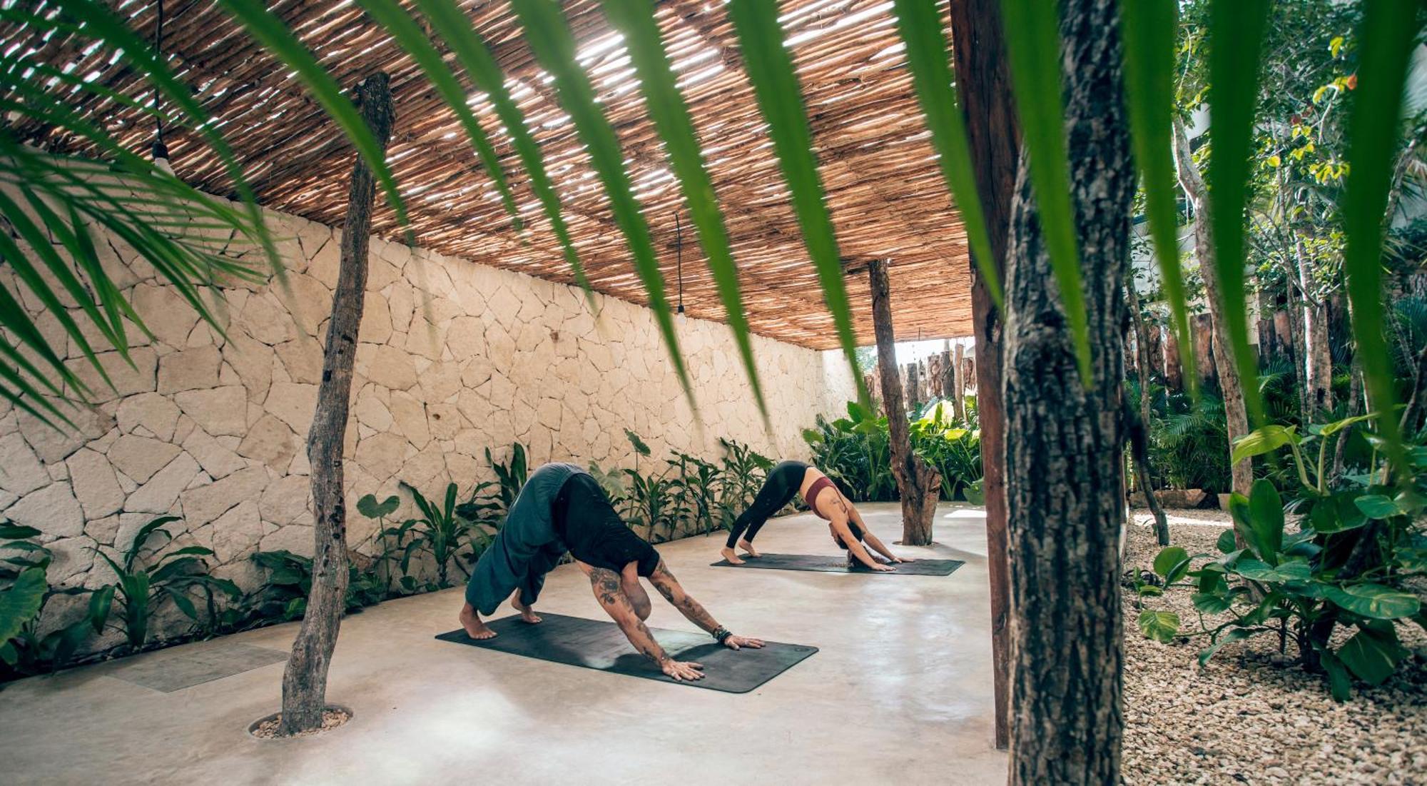 Luxury Jungle Villa-Pvt Pool -100Mbs- Concierge 8A Tulum Zewnętrze zdjęcie