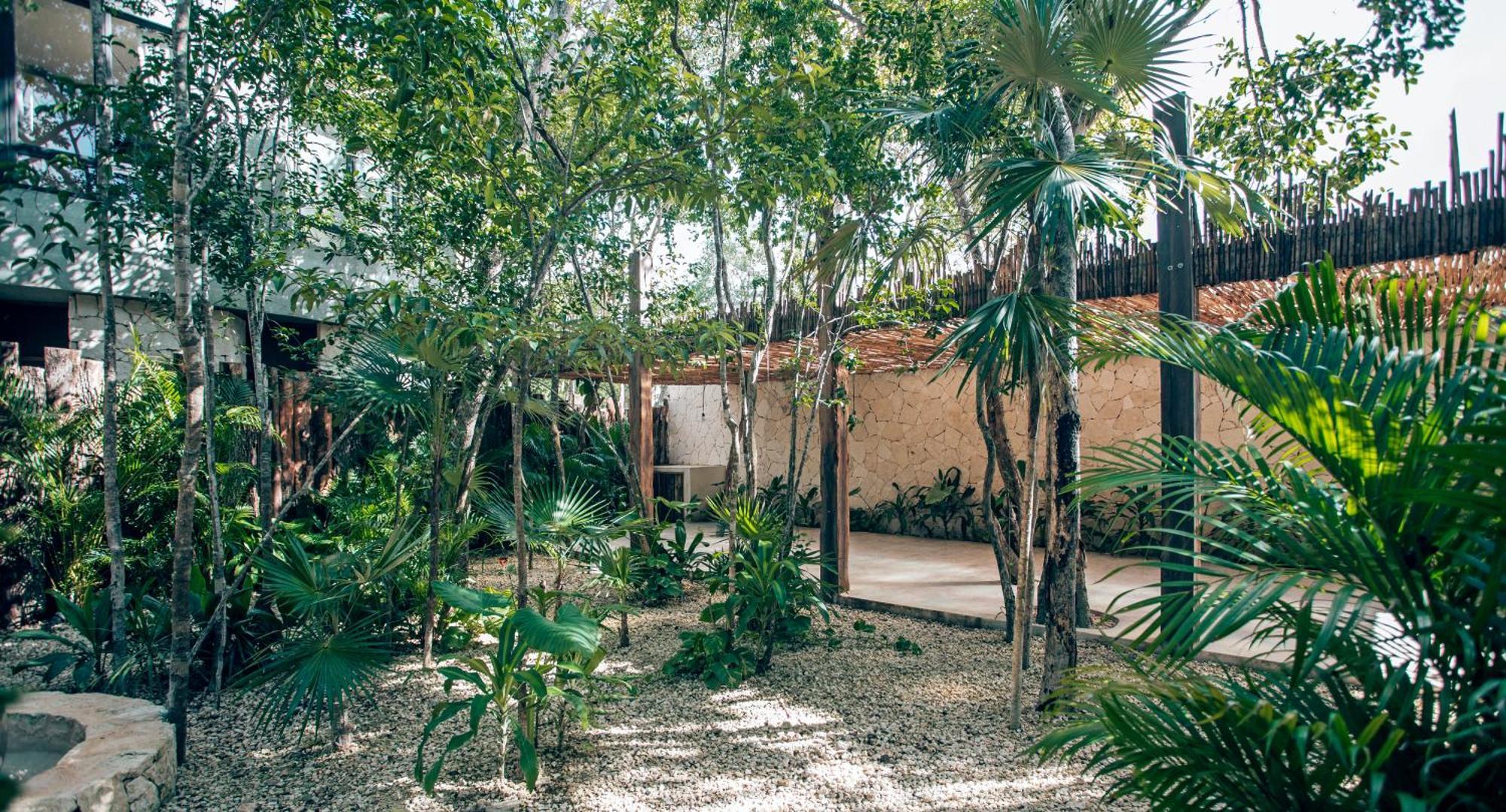 Luxury Jungle Villa-Pvt Pool -100Mbs- Concierge 8A Tulum Zewnętrze zdjęcie